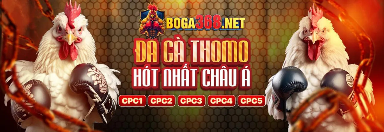 Đá Gà Trực Tuyến K88