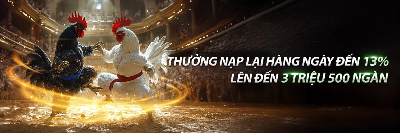 Đá Gà Trực Tuyến k88 khuyến mãi